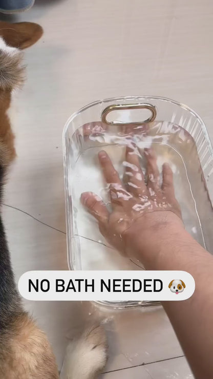 New 3 In1 Steamy Pet Cat Brush Cleanser Vapor, Steaming Pet Hair Brush, Pet