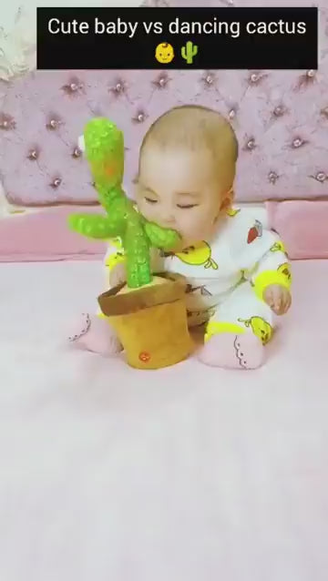 LED Musical Dancing & Mimicry Cactus Toy